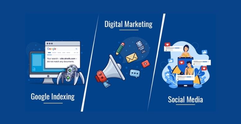 Google Indexing, Digital Marketing, Social Media – What New Websites Need To Know